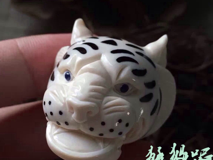 郭先东，青蓝猛犸吧